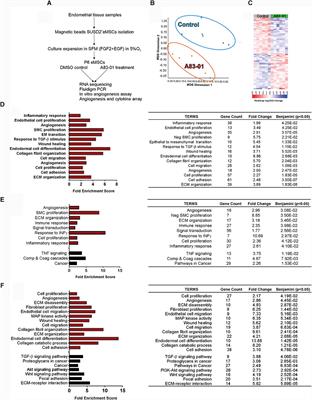 The Transcriptome of Human Endometrial Mesenchymal Stem Cells Under TGFβR Inhibition Reveals Improved Potential for Cell-Based Therapies